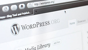 WordPressとEC-CUBEのCMS導入サポート